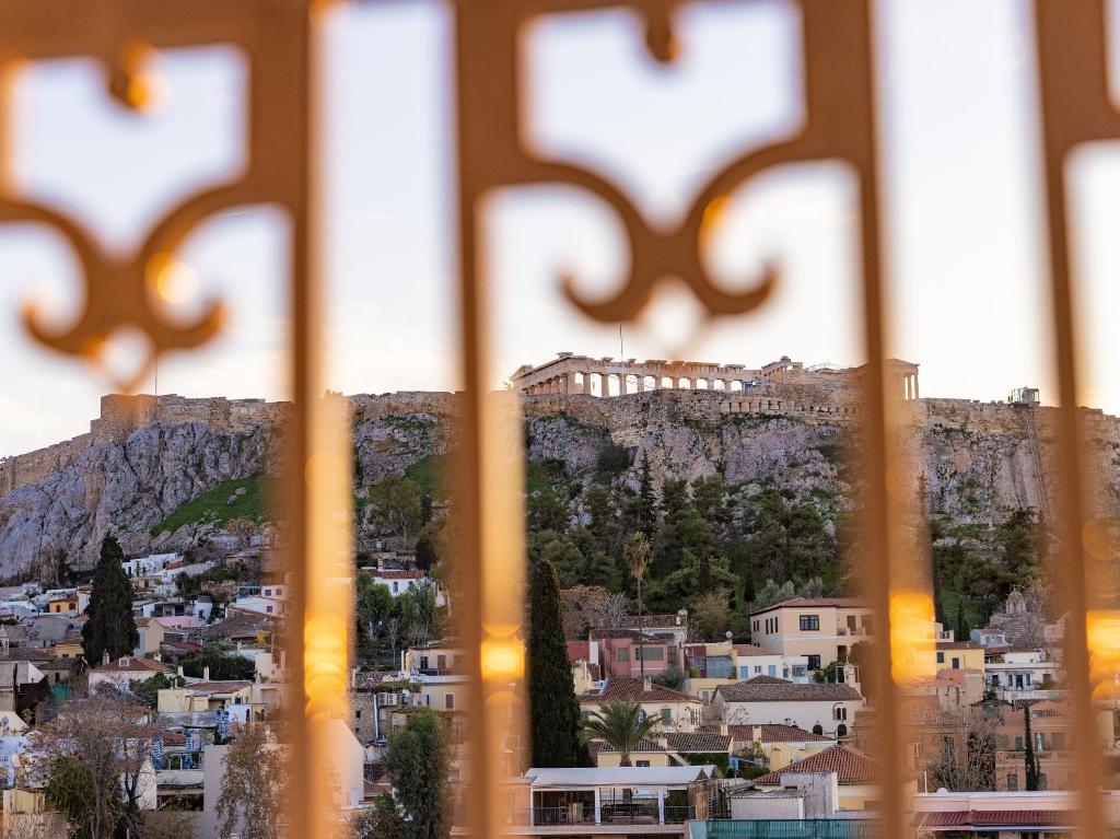 The Dolli at Acropolis 12